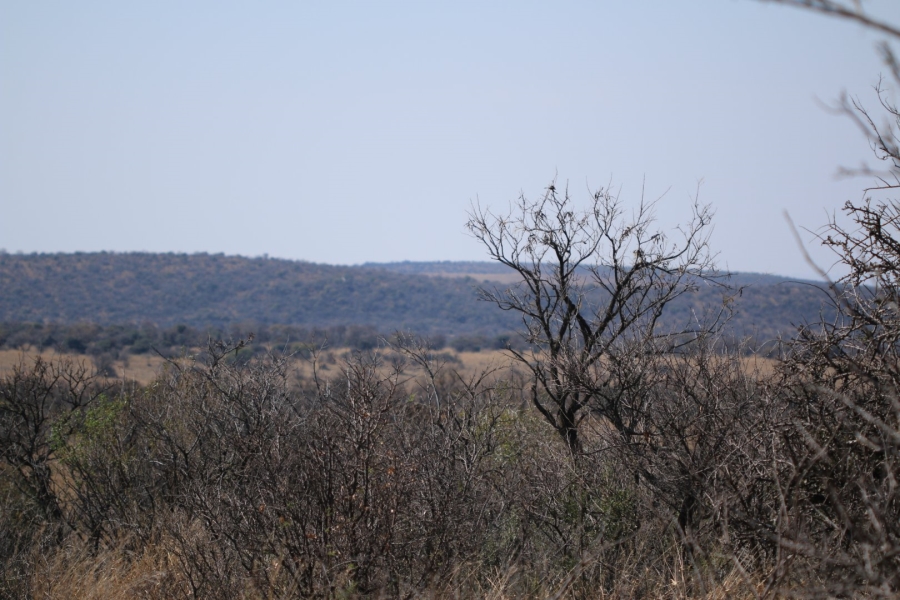 Commercial Property for Sale in Lekwena Wildlife Estate North West